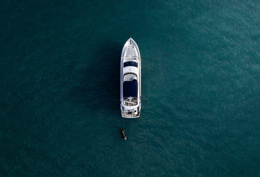 Helicopter Aerial Surveys